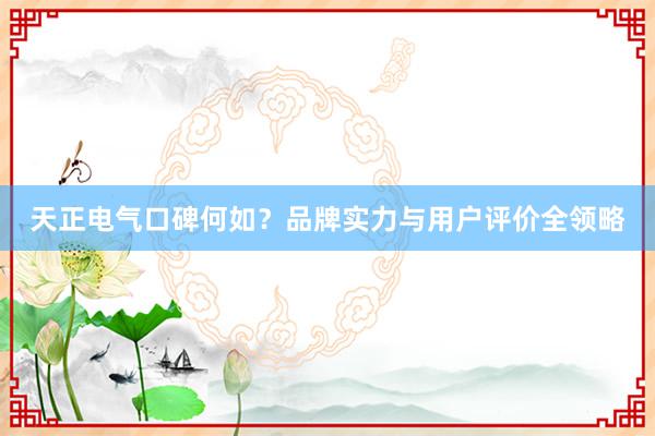 天正电气口碑何如？品牌实力与用户评价全领略